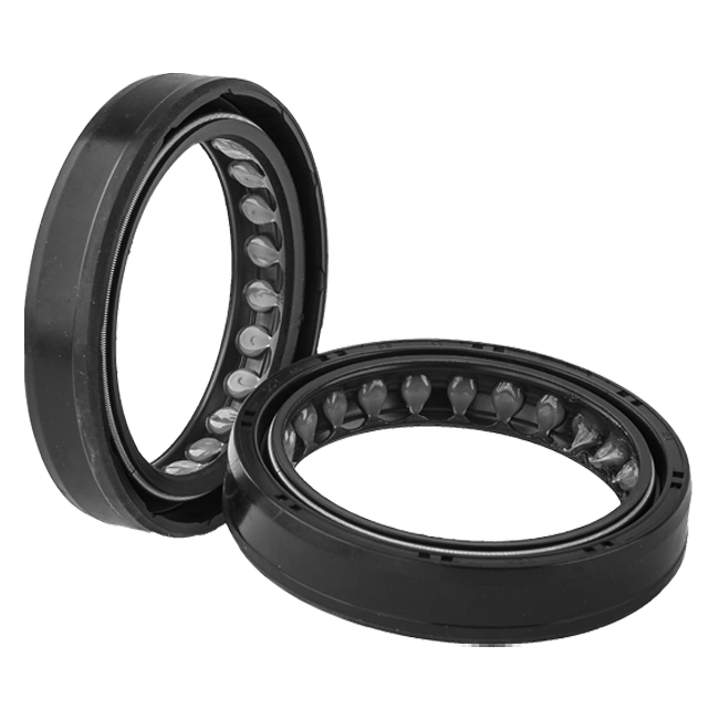 KIT KIT KIT DUCATI PANIGLE 1299 (15-18) FSS-038 (15-18) FSS-038