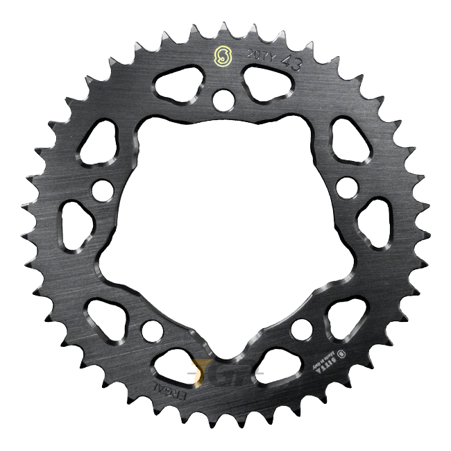 Sitta Aluminium pignone BMW S1000RR K67 (19-25) (207Y) – 37-47 denti, passo 520 