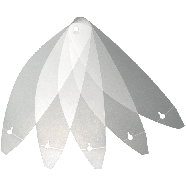 Shoei Abbey sventa gli strappi di 5 pezzi. X-SPR Pro (CWR-F2R)