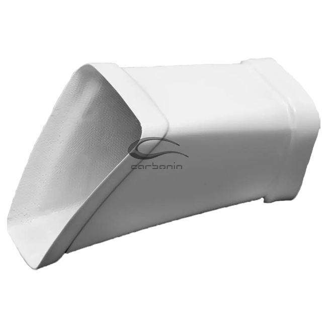 Air Canal Aviio Fiber Carbonin BMW S1000RR K67 (19-22) B4066AF