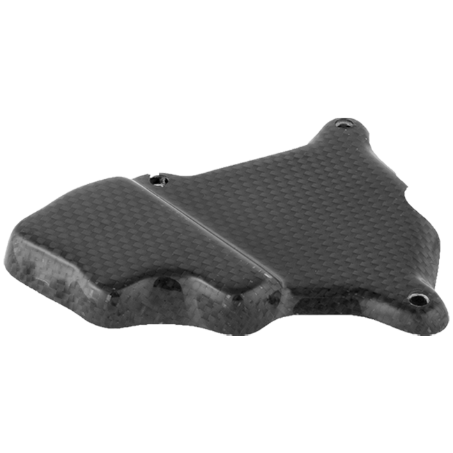 Copertura Pick-Up in Carbonio LighTech BMW S1000RR K46 (09-16) CARB1018 