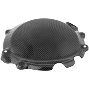 Copertura in carbonio Lightch BMW S1000RR K46 (15-18) CARB1031