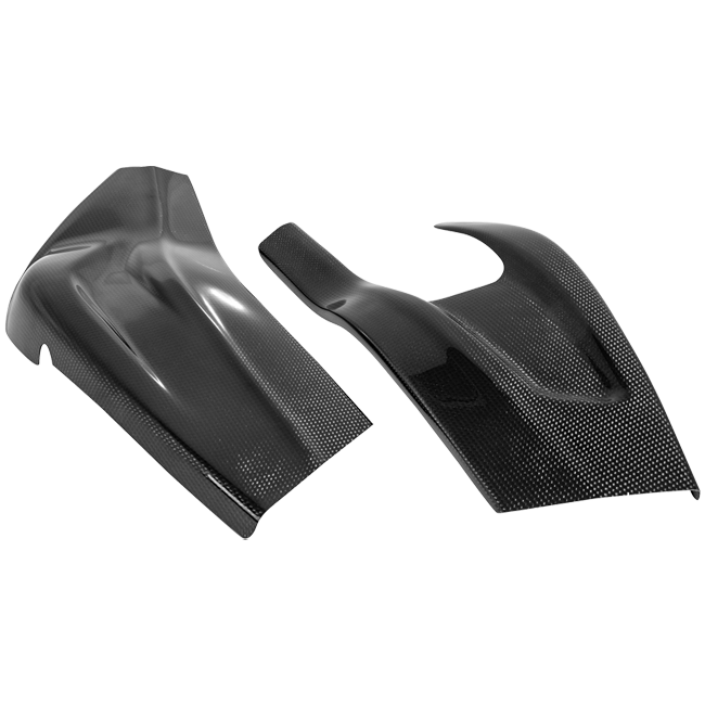 Copertura del forcellone in carbonio LighTech BMW S1000RR K46 (15-18) CARB1061 