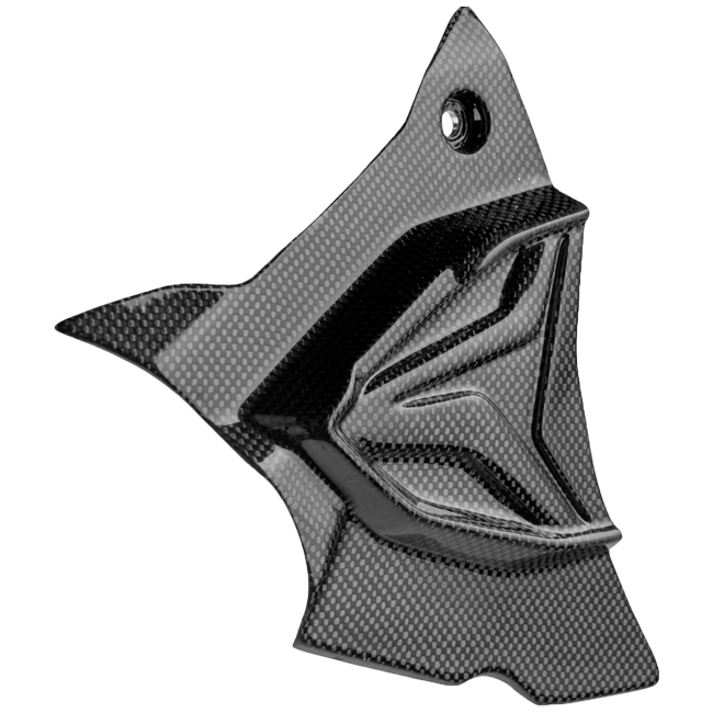 Copertura spot Carbon Lightch BMW S1000RR K67 (19-25) CARB1945