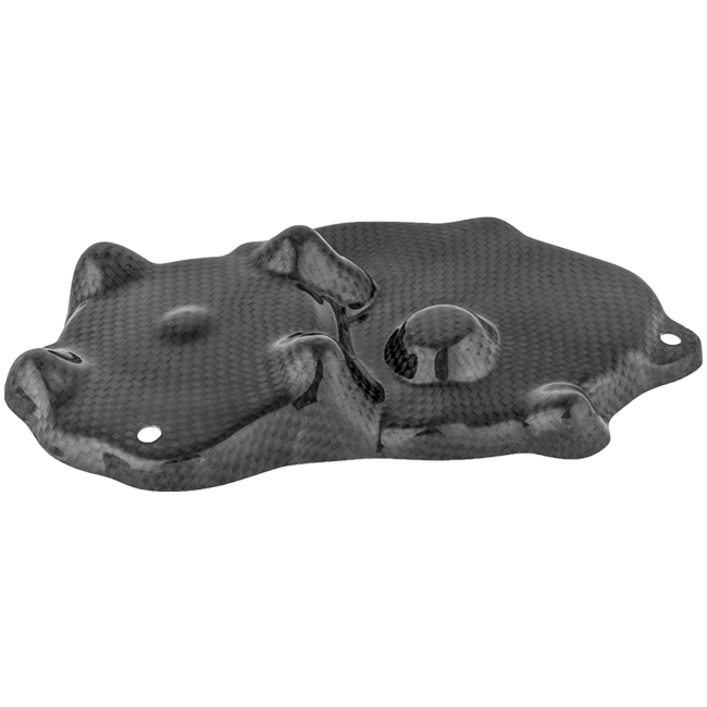 Copertura Pick-Up in Carbonio LighTech Kawasaki ZX-6R/636/RR (09-25) CARK9518 