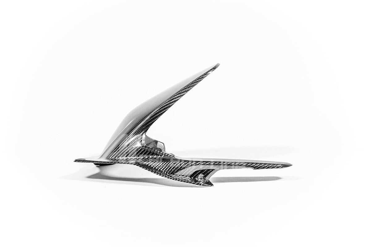 Fender posteriore 200g AP Carbon Line Ducati Panigale V4/S (2025)