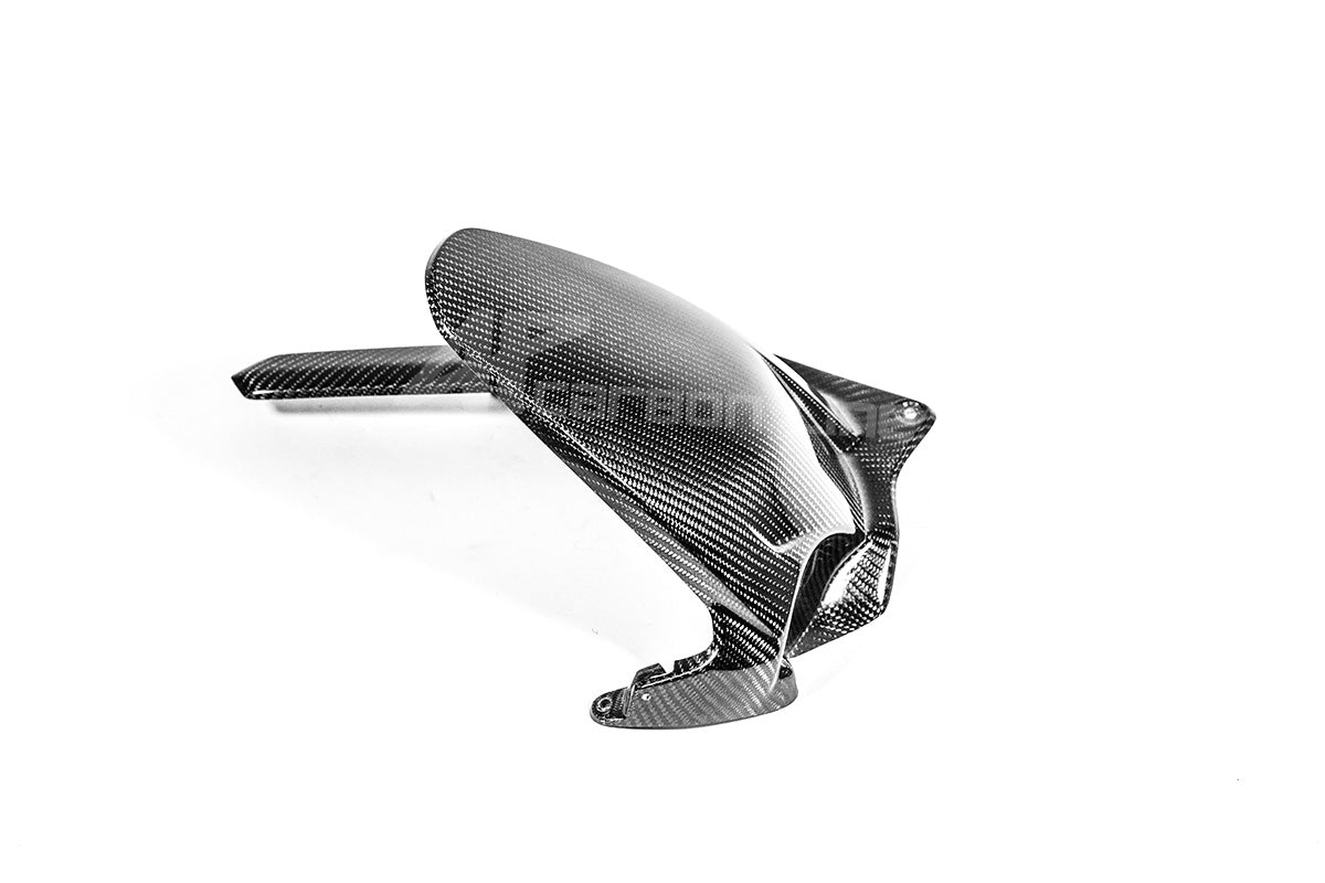 Fender posteriore 200g AP Carbon Line Ducati Panigale V4/S (2025)