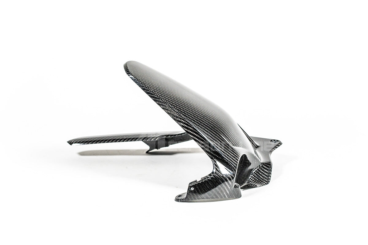 Fender posteriore 200g AP Carbon Line Ducati Panigale V4/S (2025)