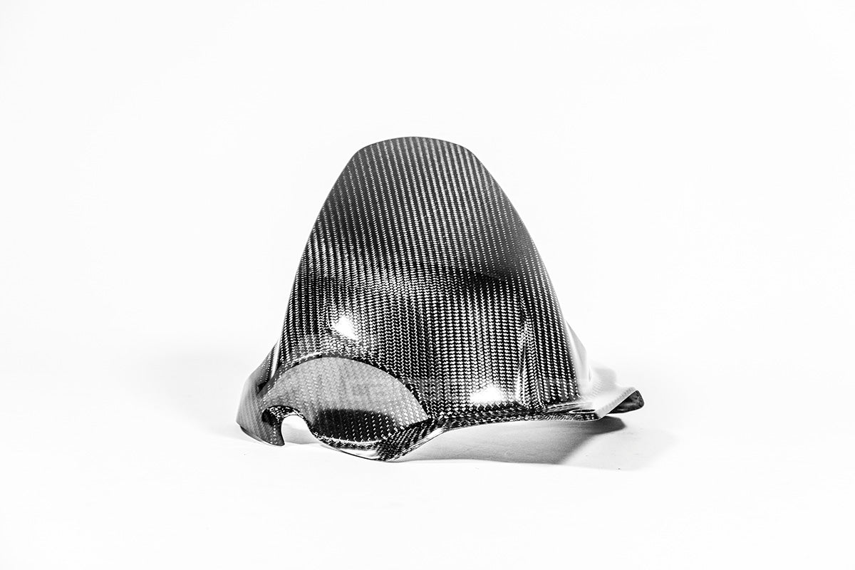 Fender posteriore 200g AP Carbon Line Ducati Panigale V4/S (2025)