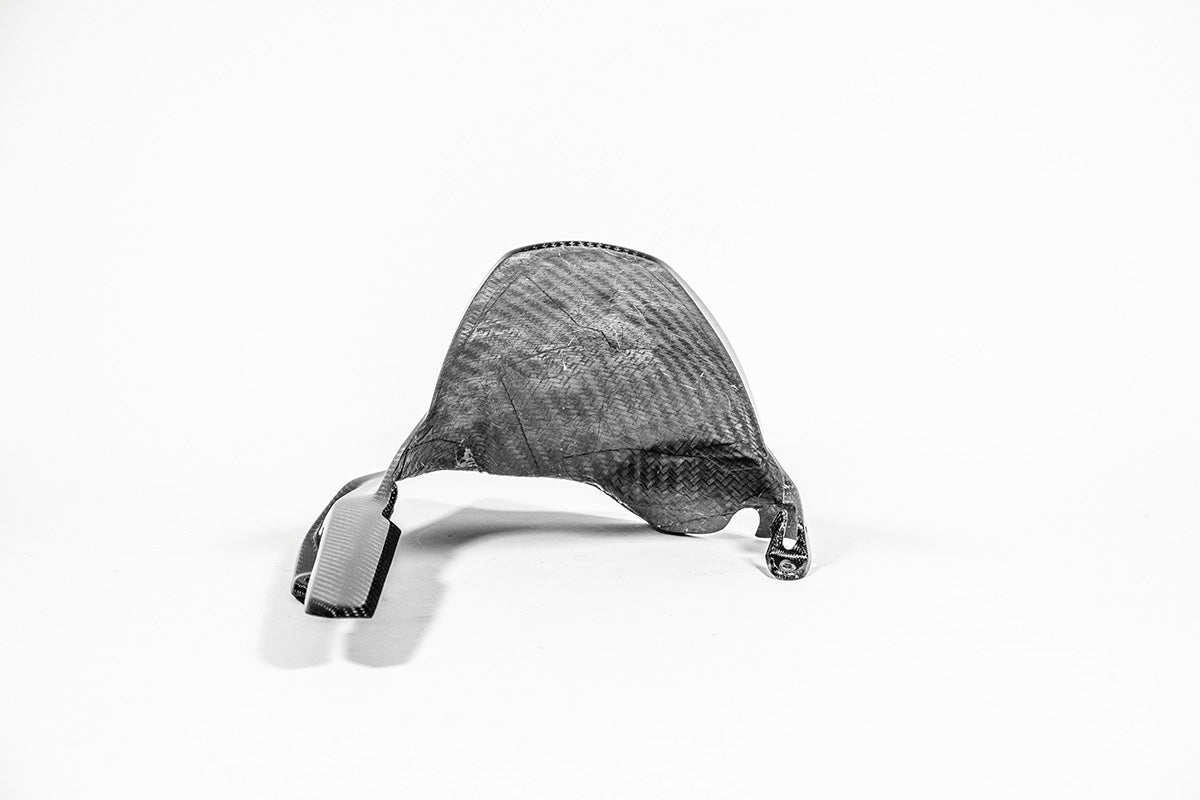 Fender posteriore 200g AP Carbon Line Ducati Panigale V4/S (2025)