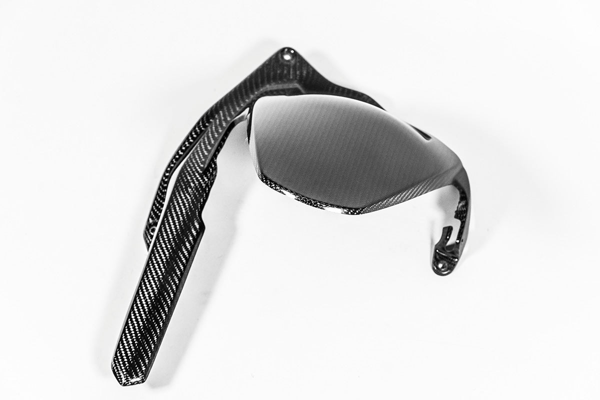 Fender posteriore 200g AP Carbon Line Ducati Panigale V4/S (2025)