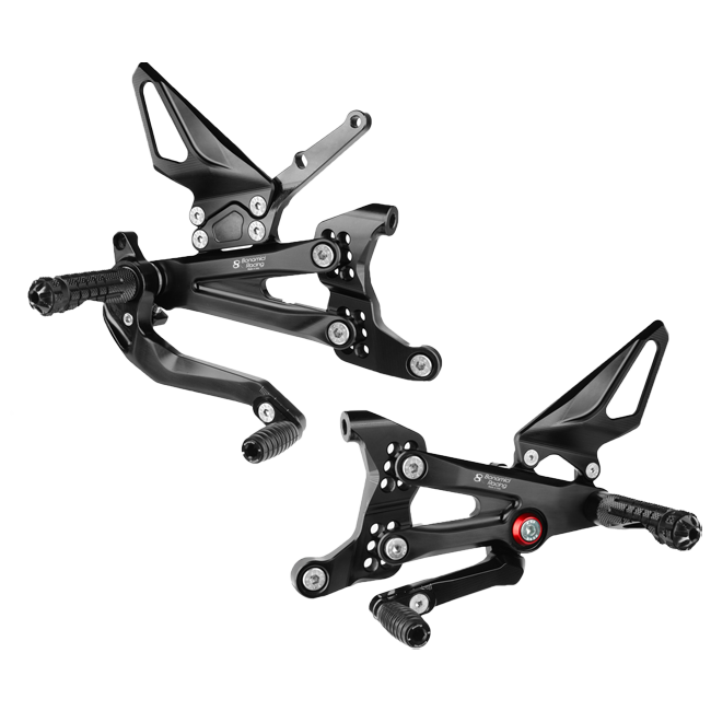 Impianto di supporto Bonamici Racing Ducati Panigale V4/S/R (18-24) DV4 