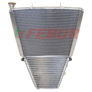 Racing Water + Cofferatore di olio Febur Aprilia RSV4/RR/RF/1100 Factory (15-20) FE1577S