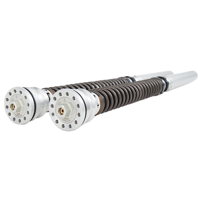 Kit cartuccia FKR Öhlins Racing (TTX 25) FKR 122 BMW S1000RR K67 (19-25) 