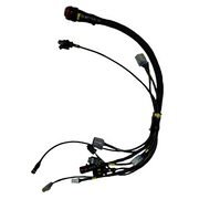 Fascicolo cablaggio anteriore WorldSSP Feel Racing Ducati Panigale V2 955 (20-24) FR.163.111 
