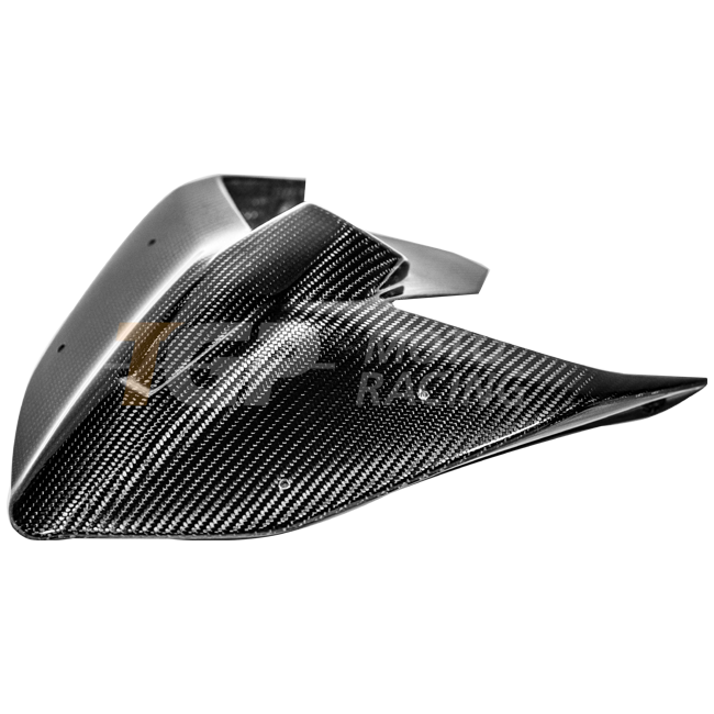 Heckverkleidung 200g Carbon AP Carbon Line Ducati Panigale V4/S/R (25-26)