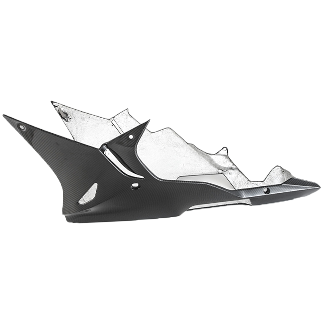 BugPoiler "Street" Carbon Fullsix BMW S1000RR K46 (15-16)