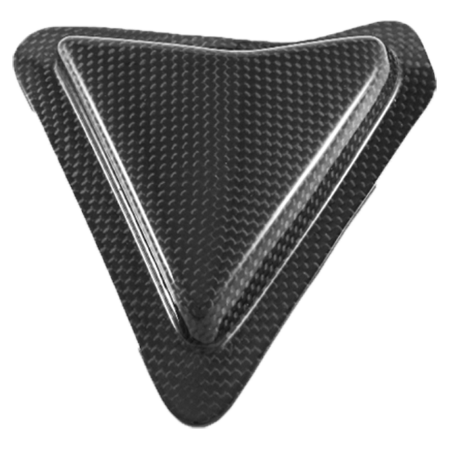 Protezione al swing Swing Carbon Fullsix Ducati Panigale V2 955 (20-24)