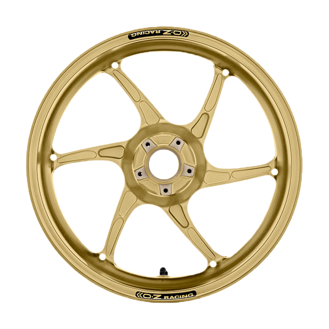 Ruota posteriore Oz Cattiva Magnesio RIM APRIIA RSV4/1100 Factory/RF/RR (17-20) C6095AP60X