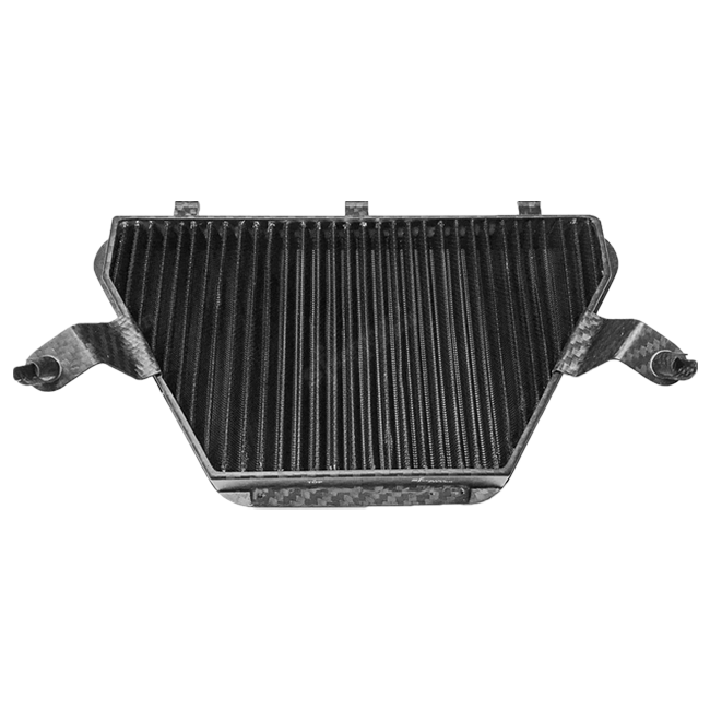 Filtro sprint F1-85-SBK Filtro dell'aria Honda CBR 1000 RR-R SC82 (20-25) R177S F1-85-SBK