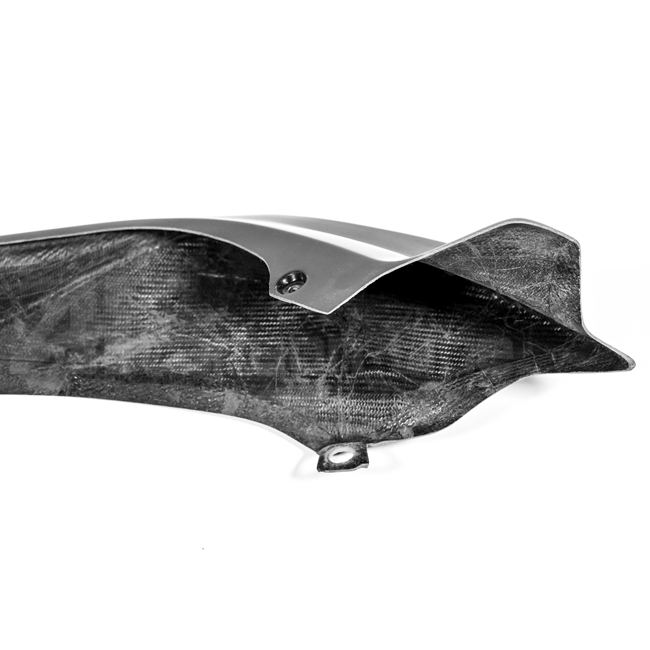 Diamine a destra Lavatex AP Carbon Line Ducati Panigale V4/S (2025)