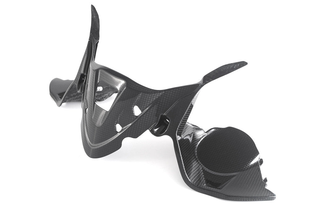 Copertura dello strumento Carbon Fullsix Ducati Panigale 959 (16-19)