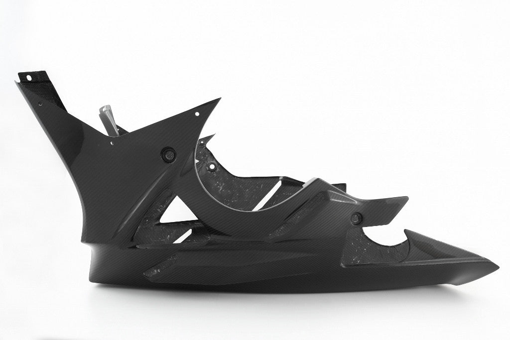 BugPoiler "Street" Carbon Fullsix BMW S1000RR K46 (09-14)