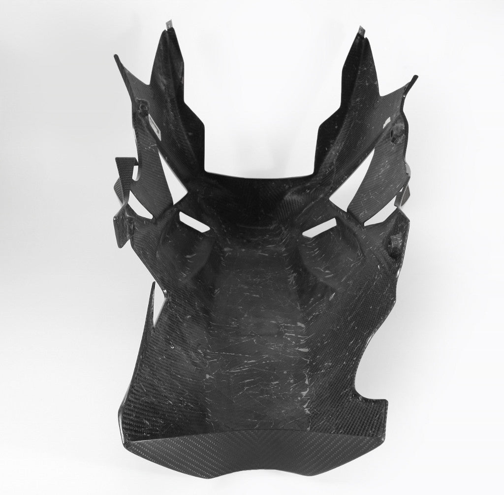 BugPoiler "Street" Carbon Fullsix BMW S1000RR K46 (09-14)