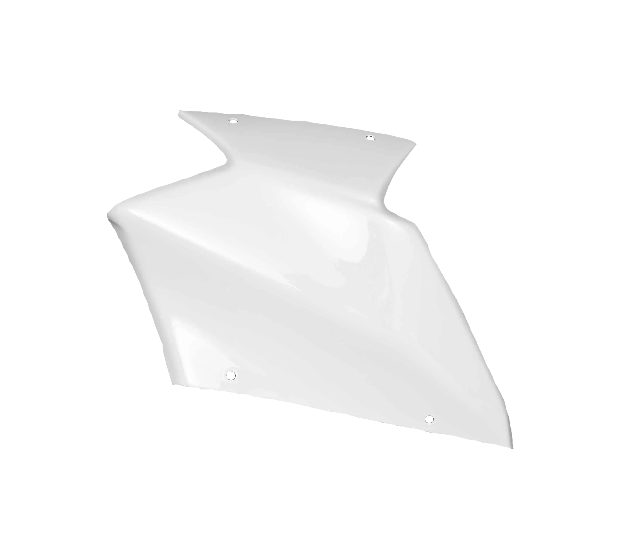 Set completo di rivestimento Aviio Fibra Kawasaki ZX-10 R/RR (21-25) Carbonina