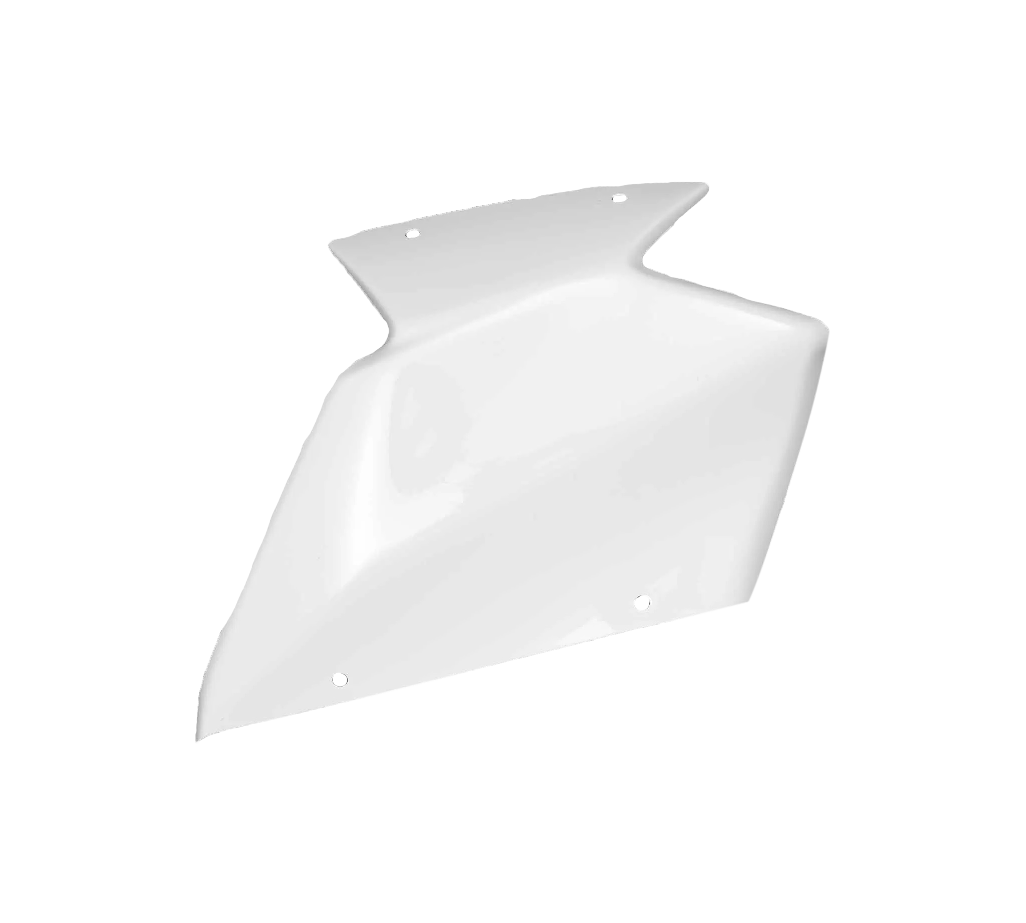 Set completo di rivestimento Aviio Fibra Kawasaki ZX-10 R/RR (21-25) Carbonina