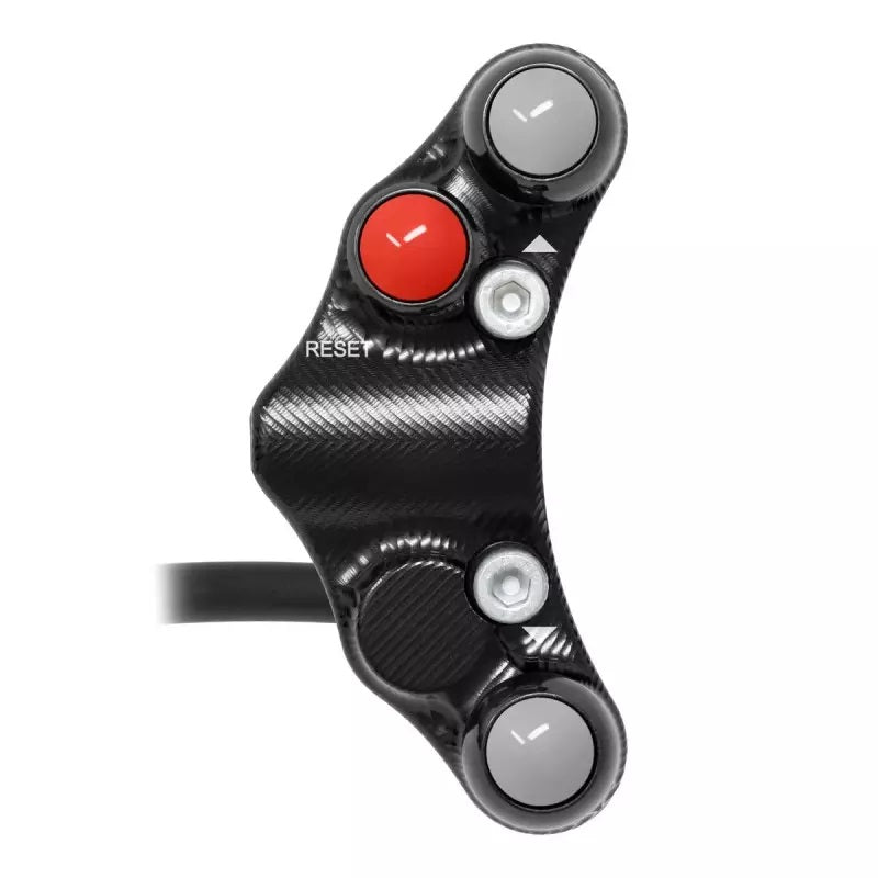 Switch Switch Race Sinistra Jetprime Kawasaki ZX-10 R/RR (21-25) JP PLSR 054