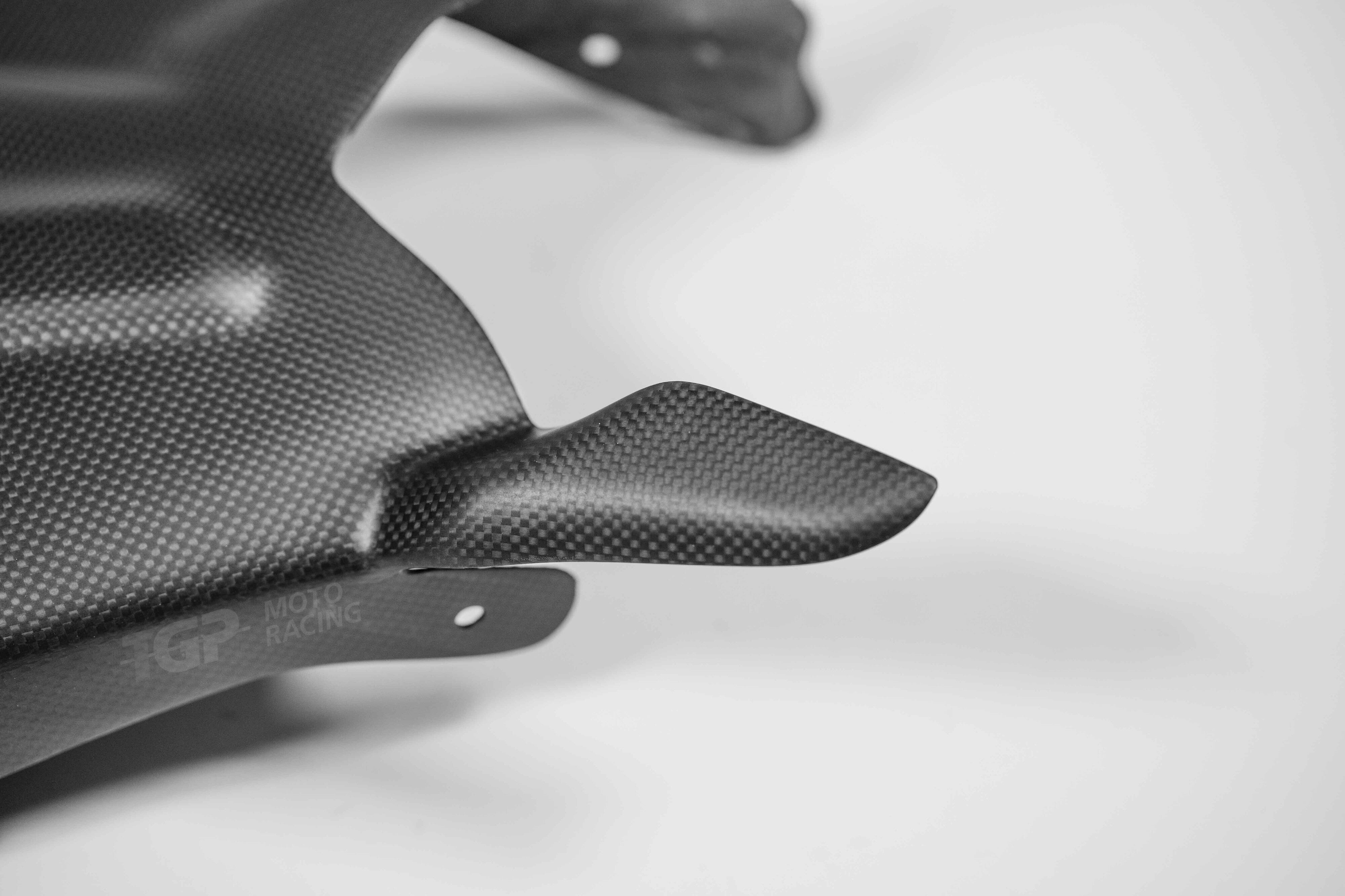 Swinging Carbon Plasticbike Ducati Panigale V2 955 (20-24)