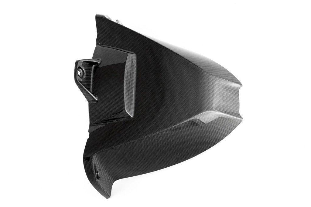 Fender posteriore "SBK" Carbon Fullsix BMW S1000RR K46 (09-18)