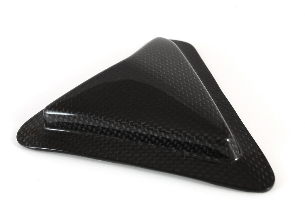 Protezione al swing Swing Carbon Fullsix Ducati Panigale V2 955 (20-24)
