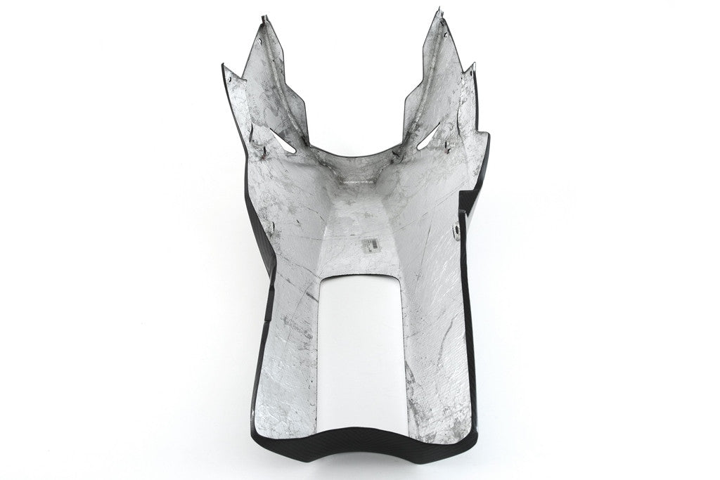 BugPoiler "Street" Carbon Fullsix BMW S1000RR K46 (17-18)