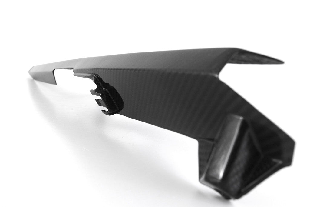 Protezione a catena "OEM" Carbon Fullsix BMW S1000RR K67 (19-25)
