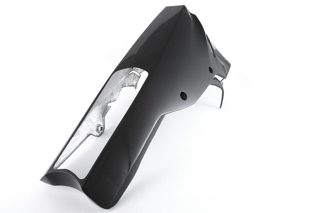 BugPoiler "Street" Carbon Fullsix BMW S1000RR K46 (17-18)