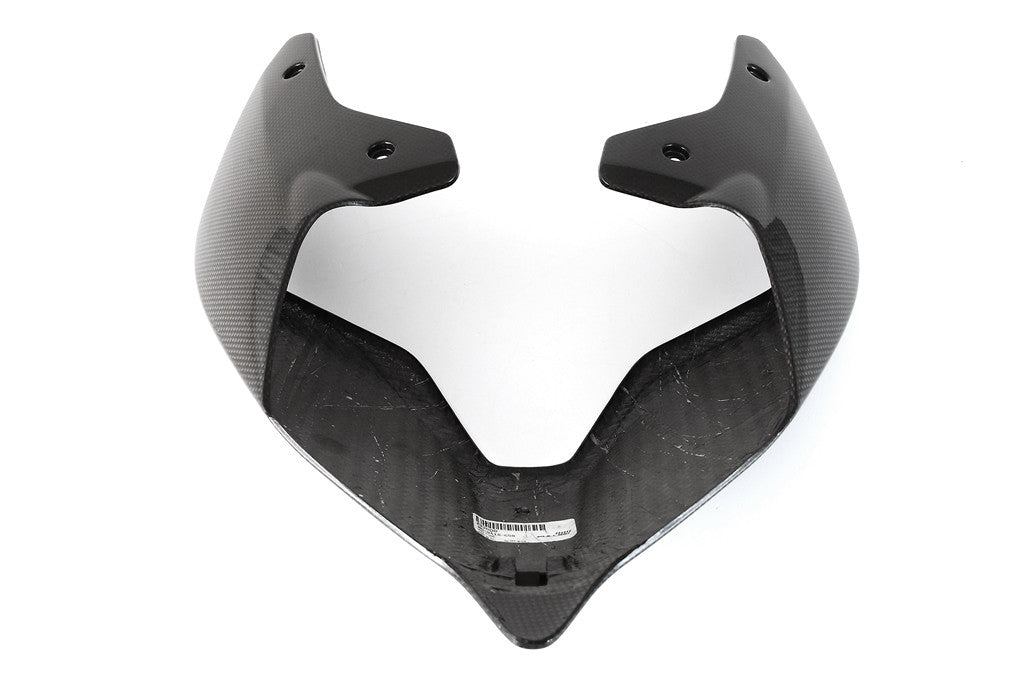 Diamine Cladding Carbon Fullsix Ducati Panigale V4/S/R (18-24)