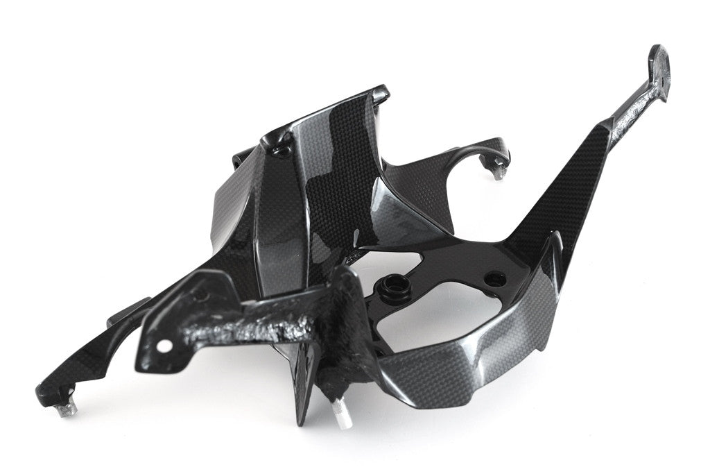 Porta del faro Carbon Fullsix Ducati Panigale 959 (16-19)