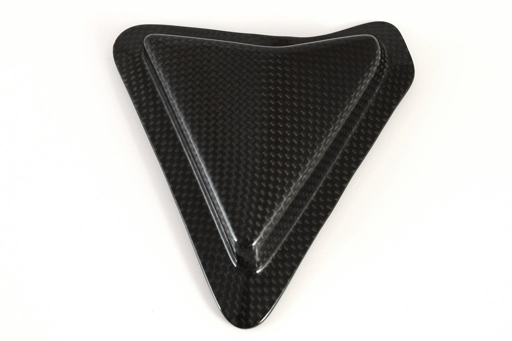 Protezione al swing Swing Carbon Fullsix Ducati Panigale V2 955 (20-24)