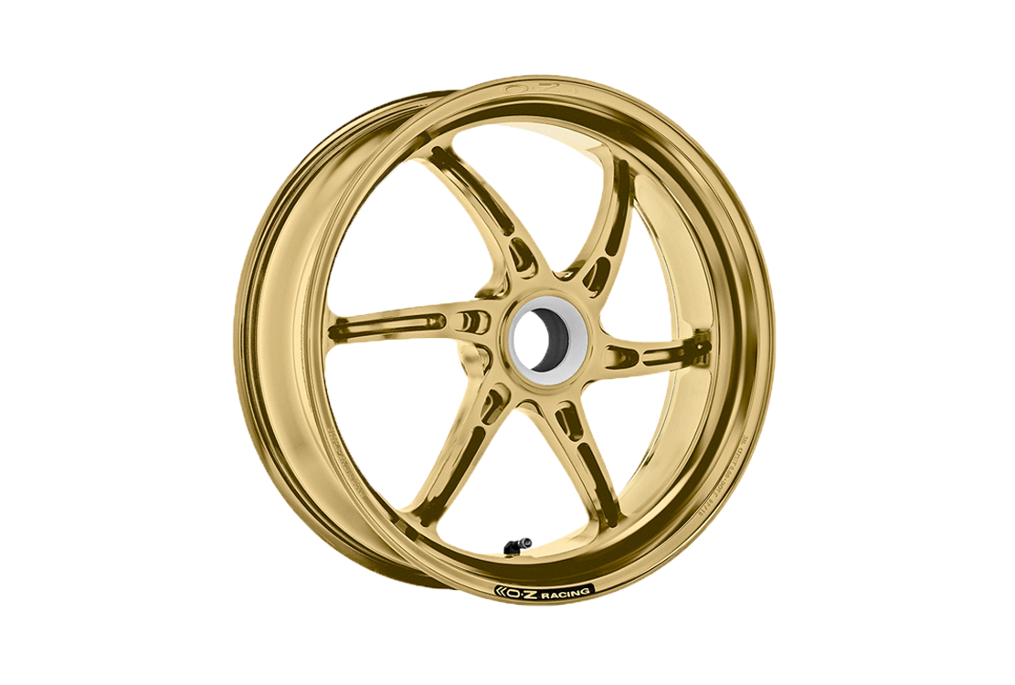 Oz Cattiva Magnesio Brena posteriore Cordo Ducati Panigale V2 955 (20-24) C6012DU55X