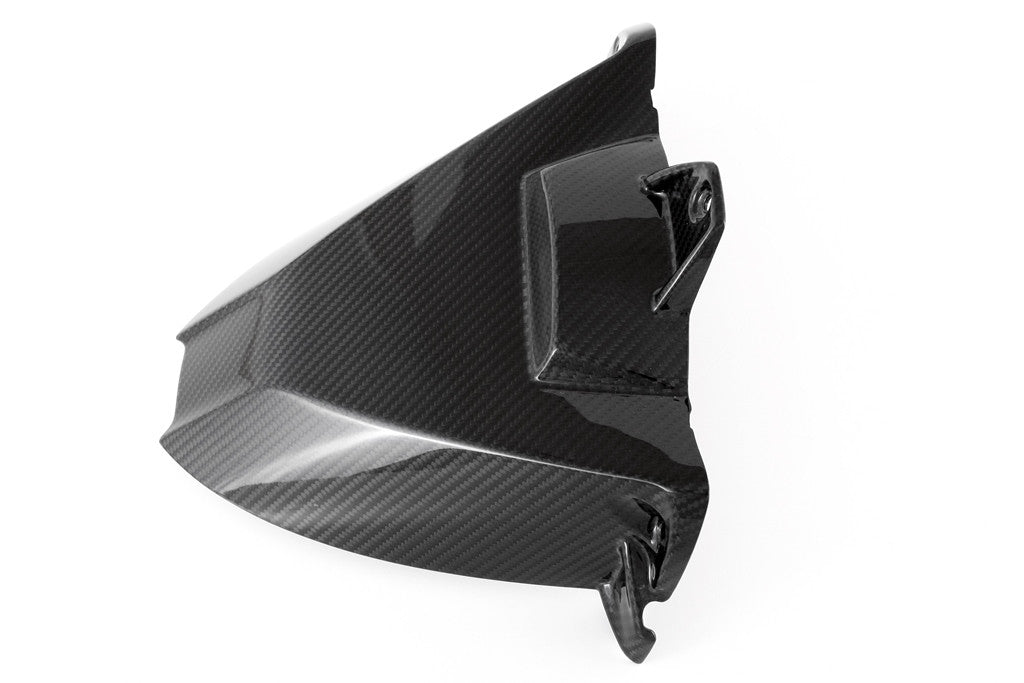 Fender posteriore "SBK" Carbon Fullsix BMW S1000RR K46 (09-18)