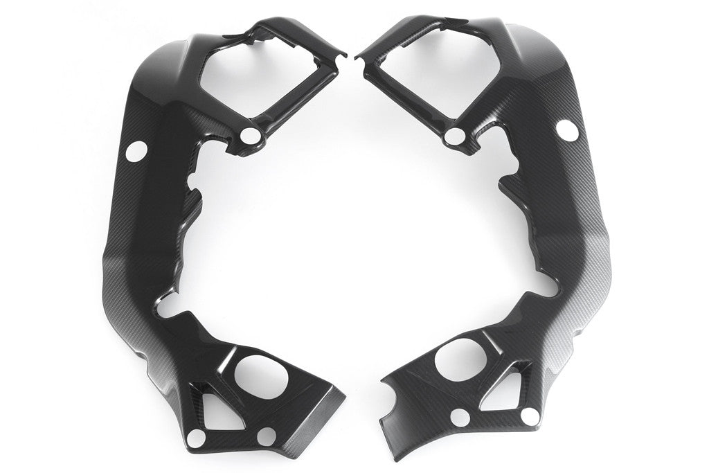 Copertura telaio in carbonio Fullsix BMW S1000RR K46 (15-18)